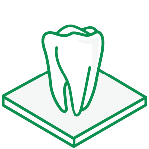 Dental Insurance