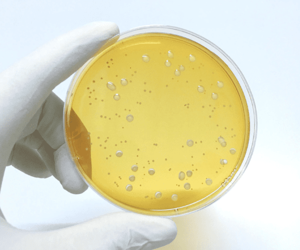 Bioburden Reduction Packing Material